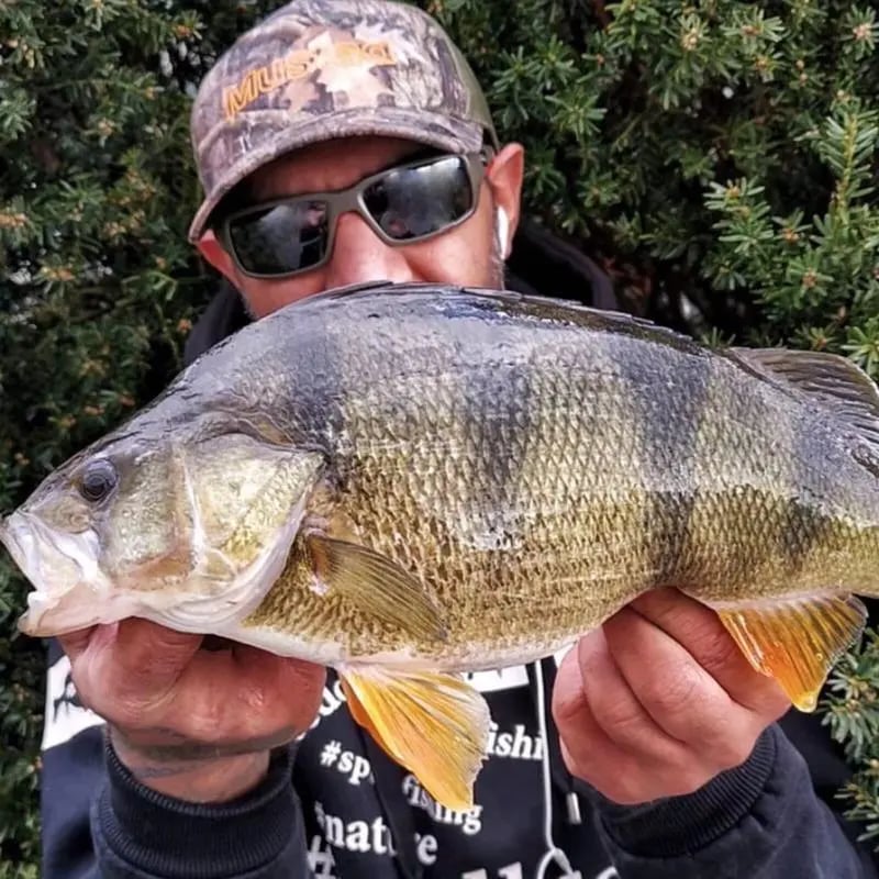 Polarized Sunglasses Rectangular Sunglasses For Men And Women