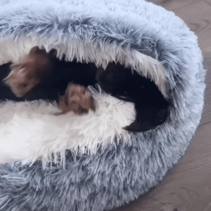 Snug Pet Cave Bed