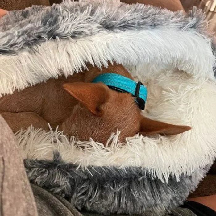 Snug Pet Cave Bed